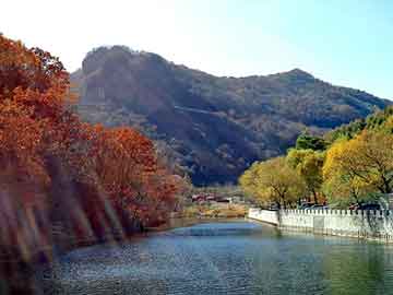 2004新澳门天天开好彩，井冈山seo程序